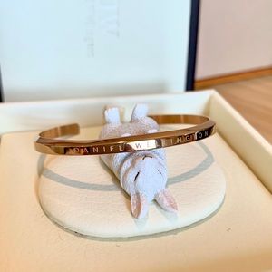 Daniel Wellington Classic Bracelet